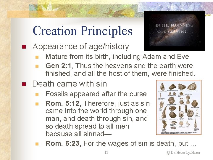 Creation Principles n Appearance of age/history n n n Mature from its birth, including Creation Principles n Appearance of age/history n n n Mature from its birth, including