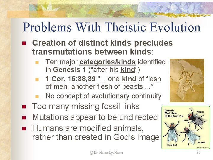 Problems With Theistic Evolution n Creation of distinct kinds precludes transmutations between kinds: n Problems With Theistic Evolution n Creation of distinct kinds precludes transmutations between kinds: n