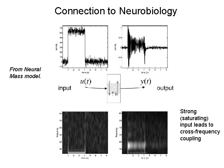 Connection to Neurobiology From Neural Mass model. Strong (saturating) input leads to cross-frequency coupling