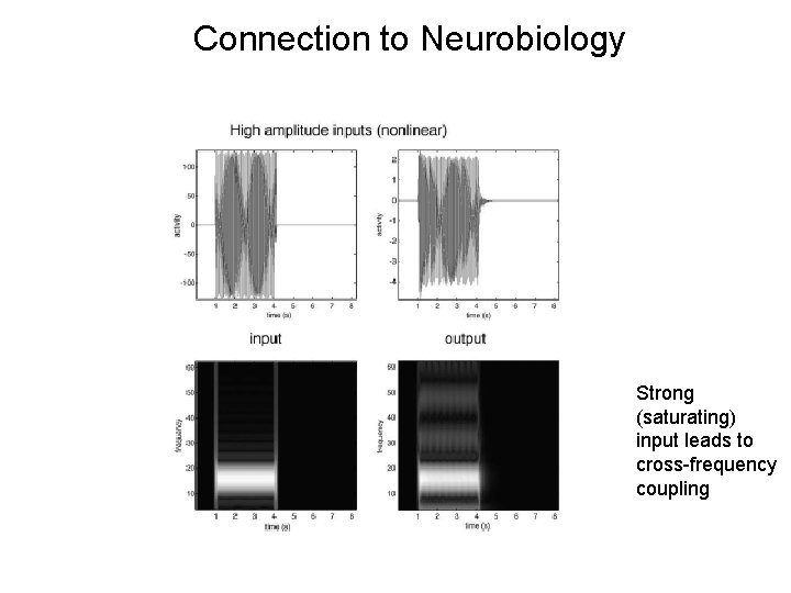 Connection to Neurobiology Strong (saturating) input leads to cross-frequency coupling 