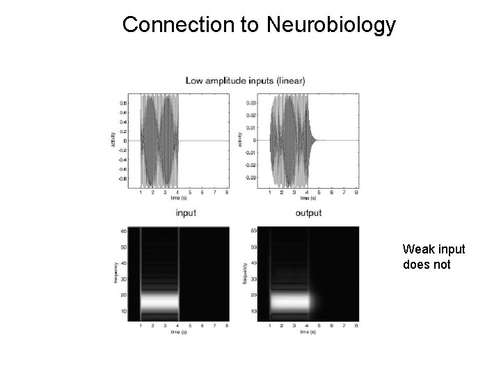 Connection to Neurobiology Weak input does not 