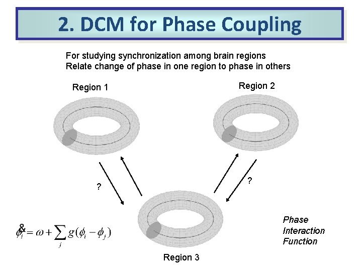 2. DCM for Phase Coupling For studying synchronization among brain regions Relate change of