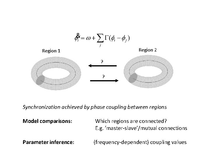 Region 2 Region 1 ? ? Synchronization achieved by phase coupling between regions Model