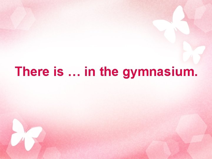 There is … in the gymnasium. 