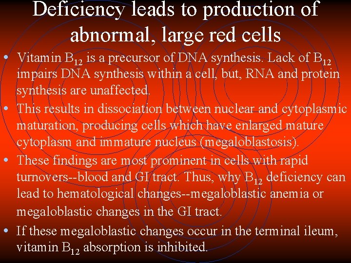 Deficiency leads to production of abnormal, large red cells • Vitamin B 12 is