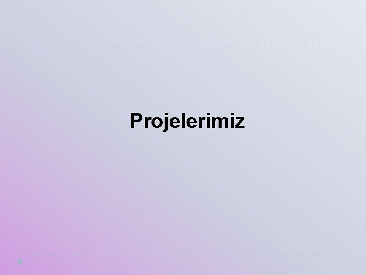 Projelerimiz 