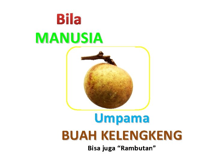 Bila MANUSIA Umpama BUAH KELENGKENG Bisa juga “Rambutan” 