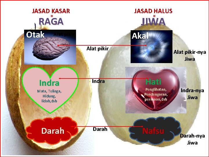 JASAD KASAR JASAD HALUS = = JIWA RAGA Otak Akal Alat pikir Indra Hati