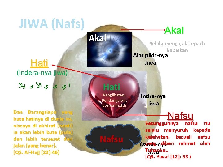 JIWA (Nafs) Akal Selalu mengajak kepada kebaikan Alat pikir-nya Jiwa Hati (Indera-nya jiwa) ﺍ