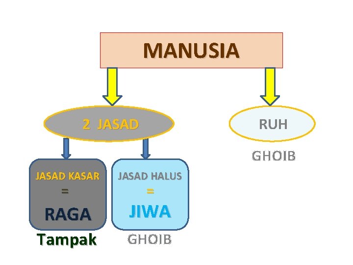 MANUSIA 2 JASAD RUH GHOIB JASAD KASAR JASAD HALUS RAGA JIWA Tampak GHOIB =