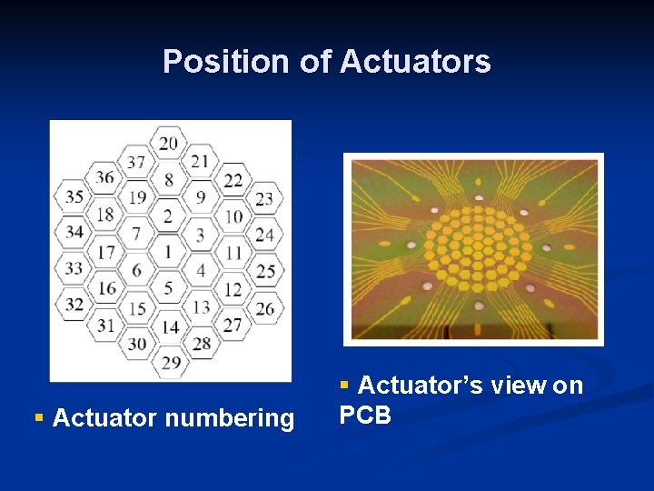 Position of Actuators § Actuator numbering § Actuator’s view on PCB Position of Actuators § Actuator numbering § Actuator’s view on PCB