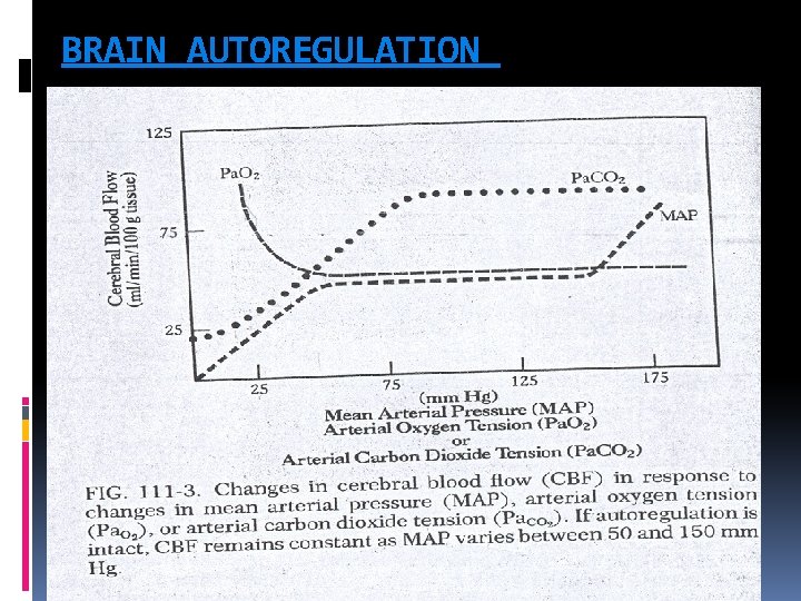 BRAIN AUTOREGULATION 