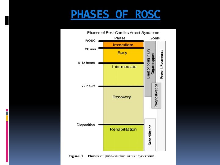 PHASES OF ROSC 