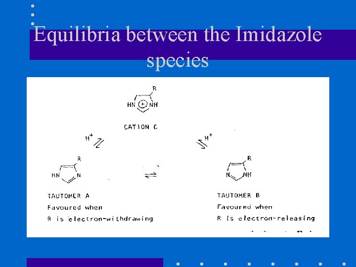 Equilibria between the Imidazole species 