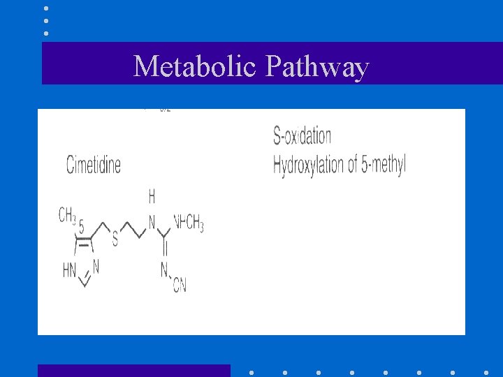 Metabolic Pathway 