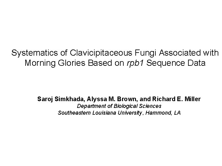 Systematics of Clavicipitaceous Fungi Associated with Morning Glories Based on rpb 1 Sequence Data