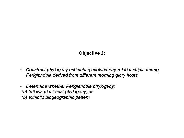 Objective 2: • Construct phylogeny estimating evolutionary relationships among Periglandula derived from different morning