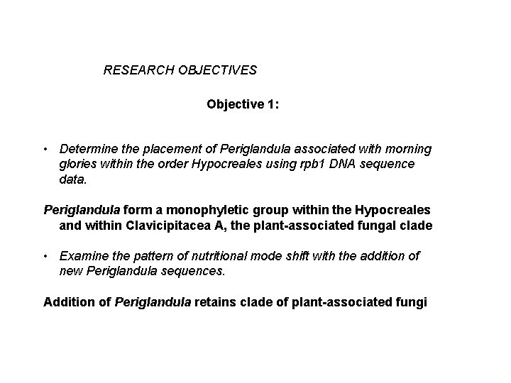 RESEARCH OBJECTIVES Objective 1: • Determine the placement of Periglandula associated with morning glories