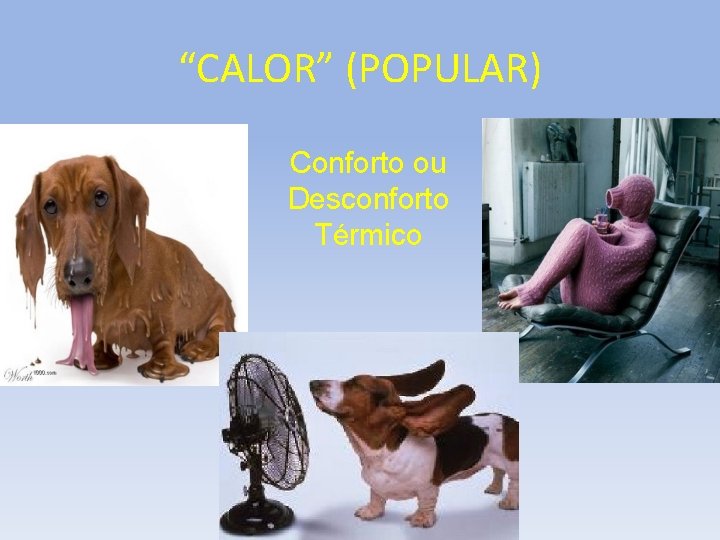 “CALOR” (POPULAR) Conforto ou Desconforto Térmico 