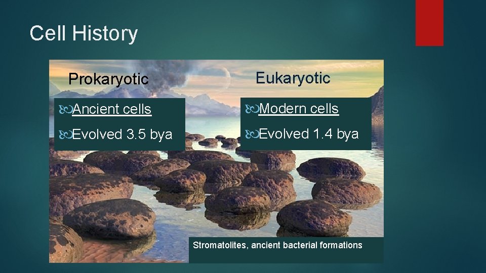 Cell History Prokaryotic Eukaryotic Ancient cells Modern cells Evolved 3. 5 bya Evolved 1.