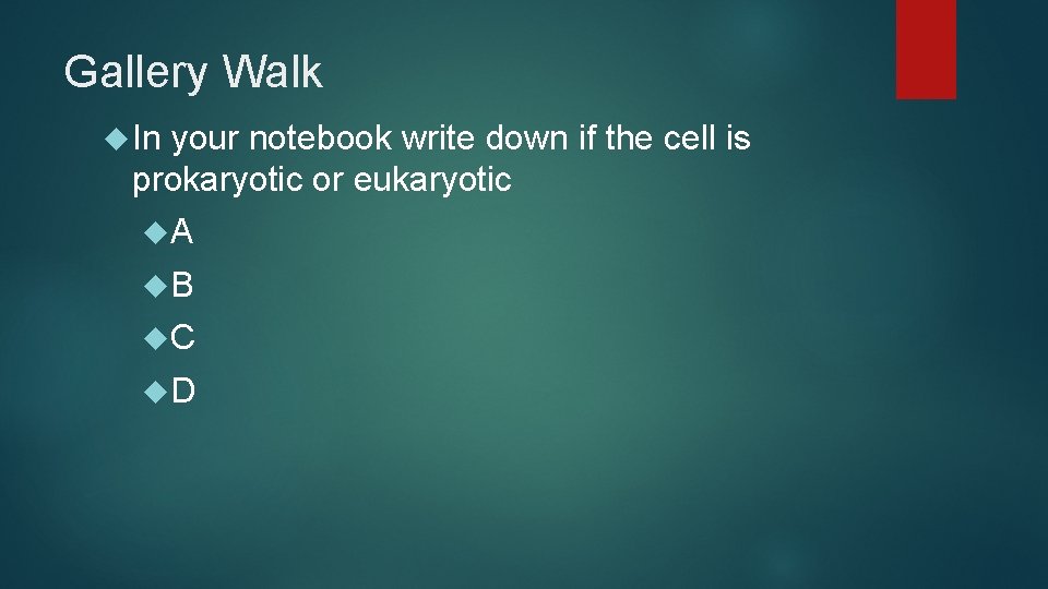 Gallery Walk In your notebook write down if the cell is prokaryotic or eukaryotic