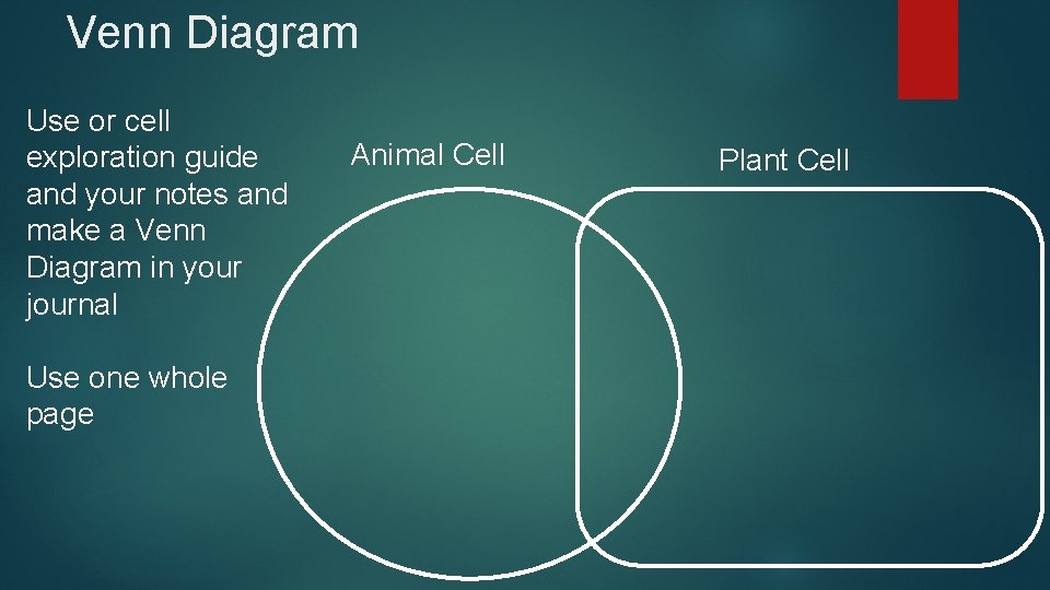 Venn Diagram Use or cell exploration guide and your notes and make a Venn