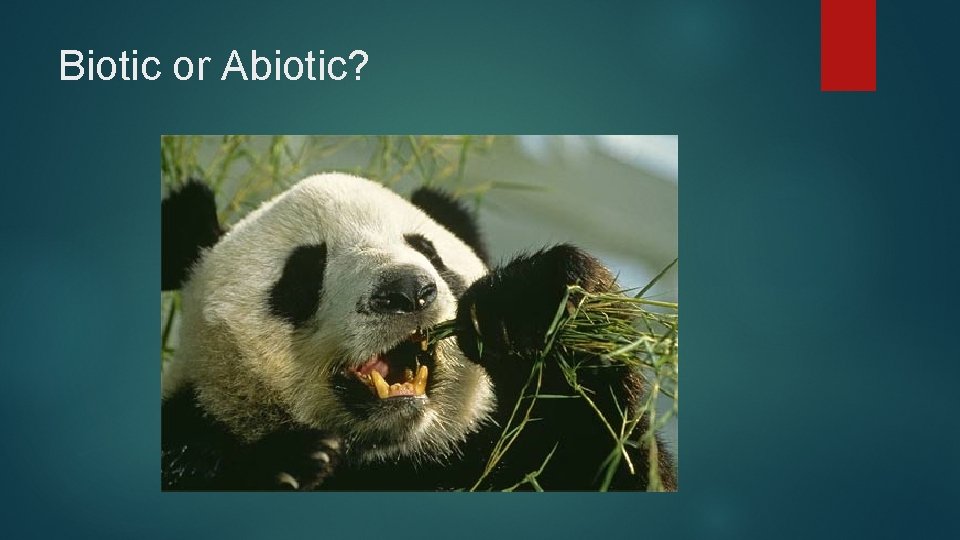 Biotic or Abiotic? 