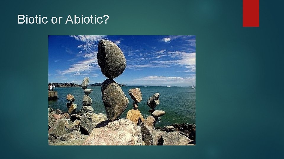 Biotic or Abiotic? 