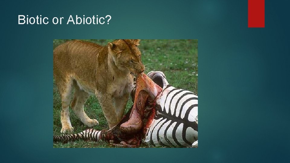 Biotic or Abiotic? 