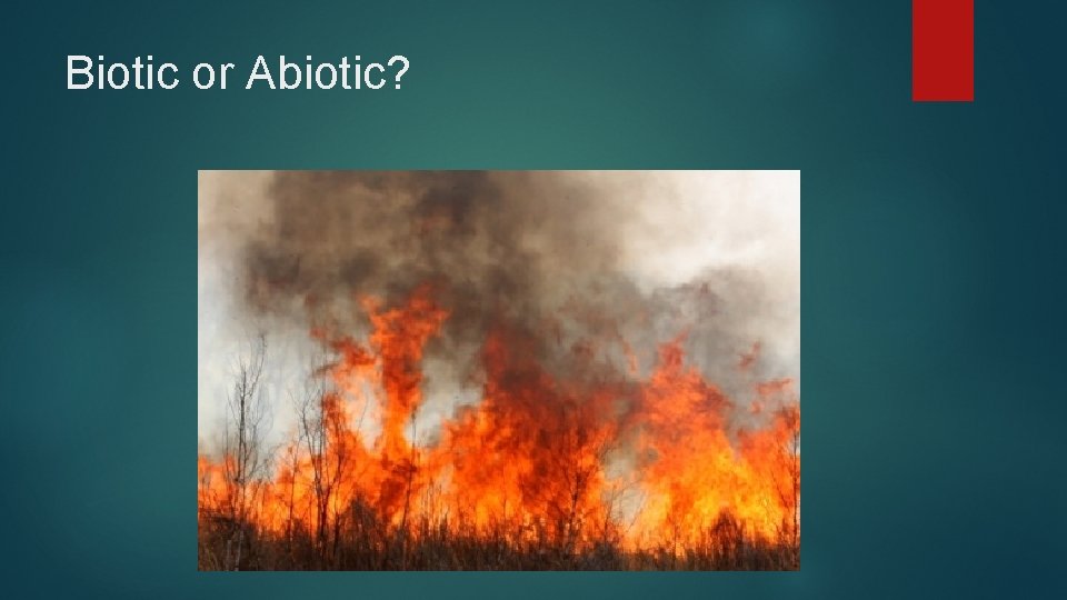 Biotic or Abiotic? 