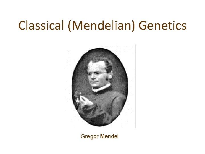 Classical (Mendelian) Genetics Gregor Mendel 