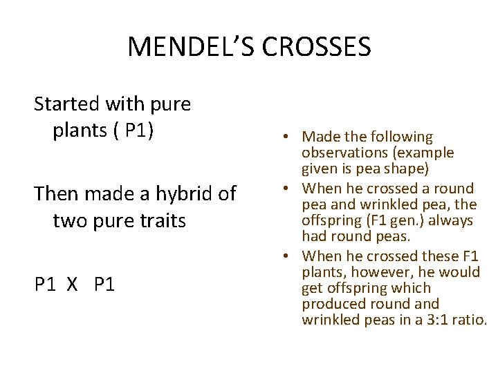 MENDEL’S CROSSES Started with pure plants ( P 1) Then made a hybrid of