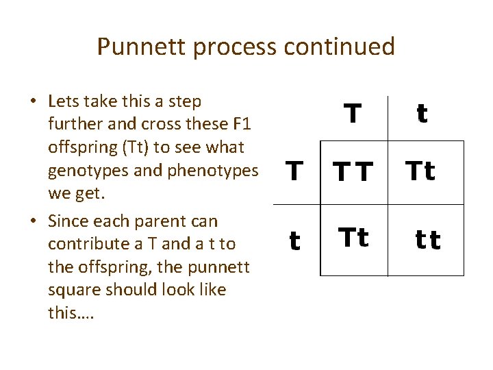 Punnett process continued • Lets take this a step further and cross these F