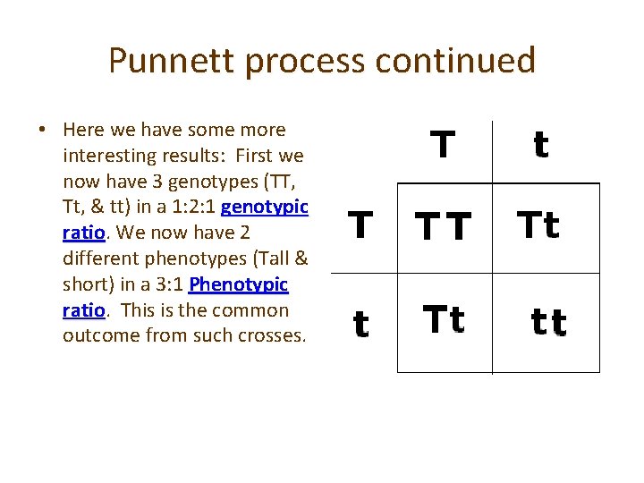 Punnett process continued • Here we have some more interesting results: First we now