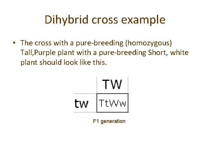 Dihybrid cross example • The cross with a pure-breeding (homozygous) Tall, Purple plant with