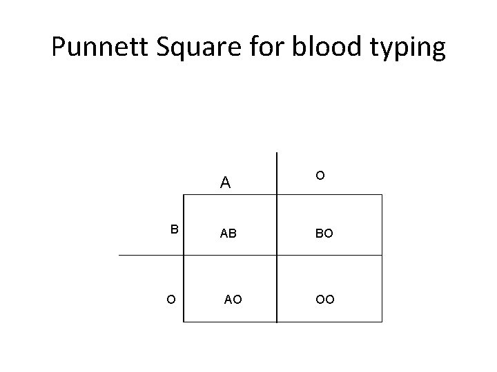 Punnett Square for blood typing B O AB BO AO OO 