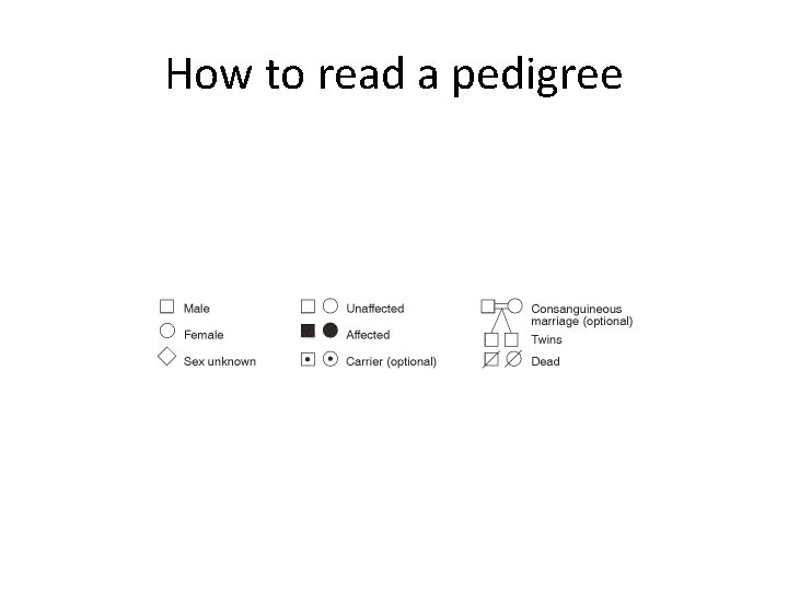 How to read a pedigree 