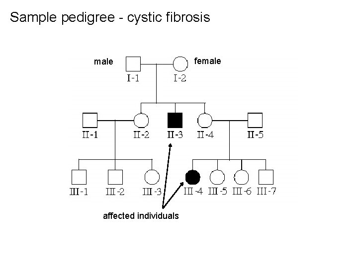 Sample pedigree - cystic fibrosis male affected individuals female 