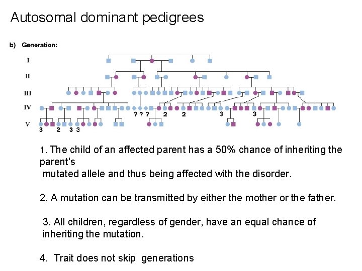 Autosomal dominant pedigrees 1. The child of an affected parent has a 50% chance