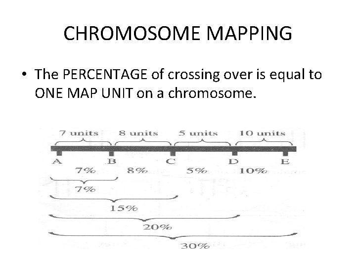 CHROMOSOME MAPPING • The PERCENTAGE of crossing over is equal to ONE MAP UNIT