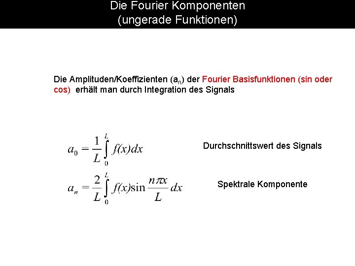 Die Fourier Komponenten (ungerade Funktionen) Die Amplituden/Koeffizienten (an) der Fourier Basisfunktionen (sin oder cos)