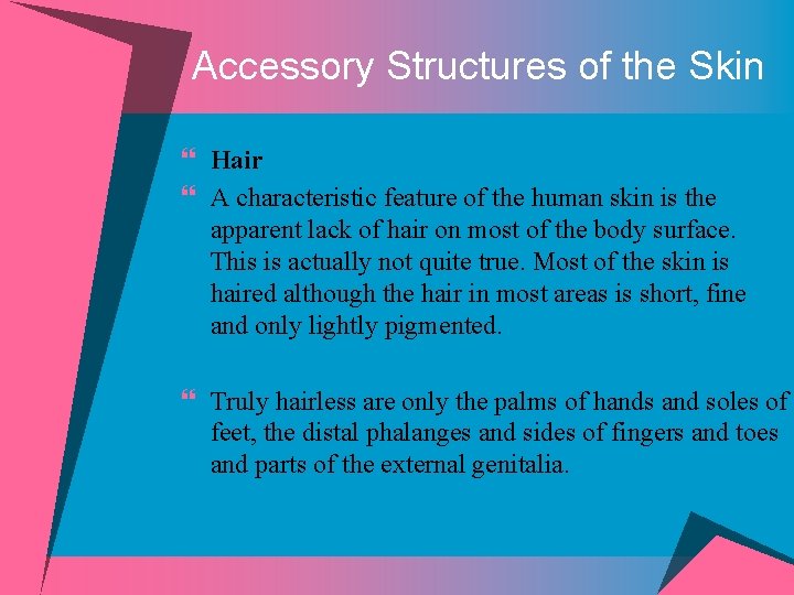 Accessory Structures of the Skin } Hair } A characteristic feature of the human
