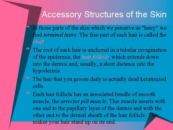 Accessory Structures of the Skin } In those parts of the skin which we