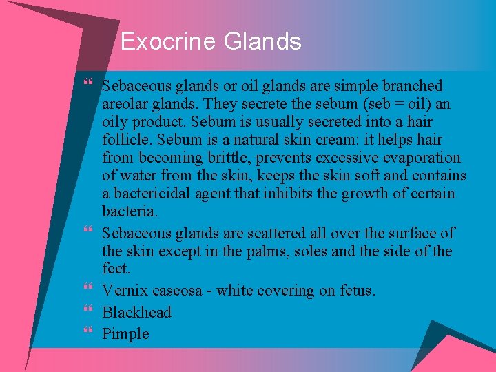 Exocrine Glands } Sebaceous glands or oil glands are simple branched areolar glands. They