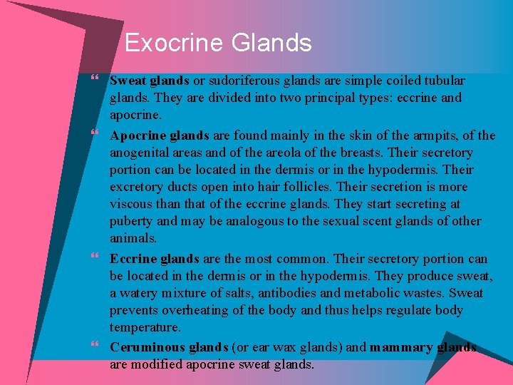 Exocrine Glands } Sweat glands or sudoriferous glands are simple coiled tubular glands. They