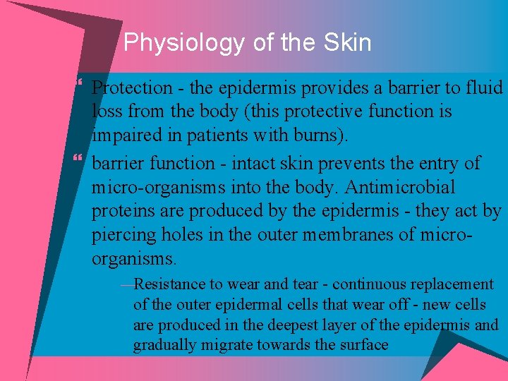 Physiology of the Skin } Protection - the epidermis provides a barrier to fluid