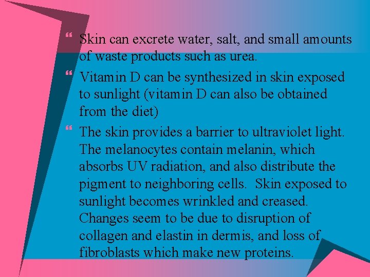} Skin can excrete water, salt, and small amounts of waste products such as