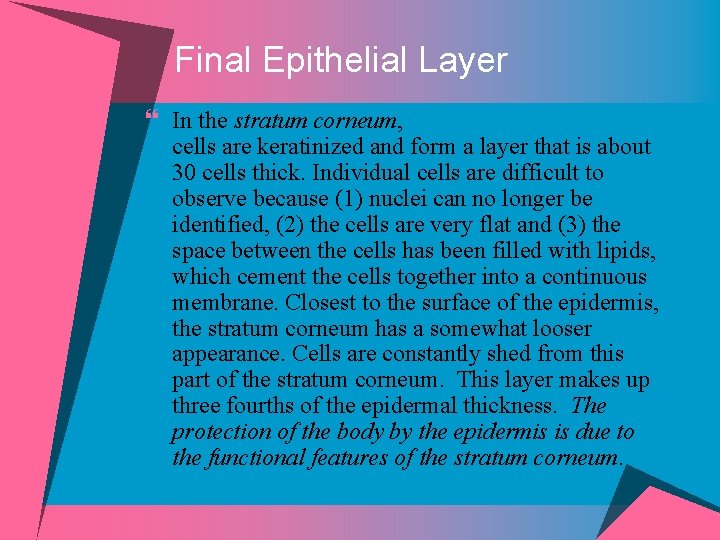 Final Epithelial Layer } In the stratum corneum, cells are keratinized and form a