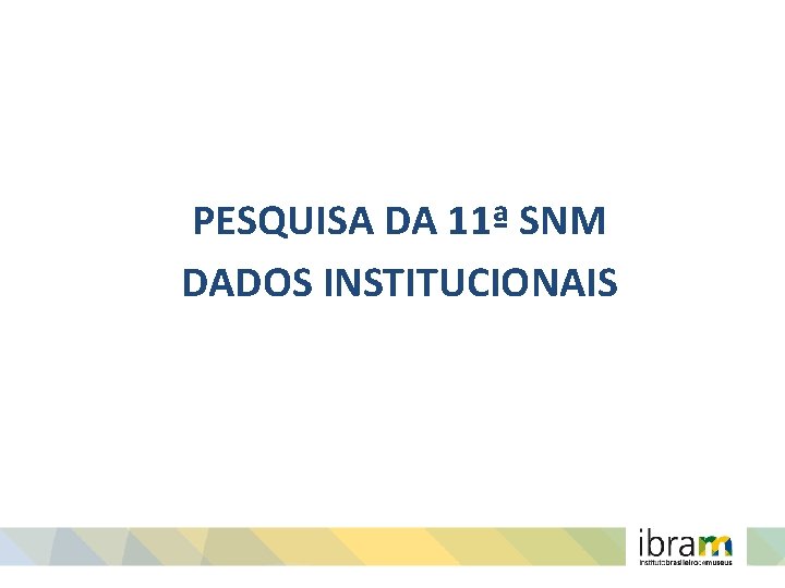 PESQUISA DA 11ª SNM DADOS INSTITUCIONAIS 