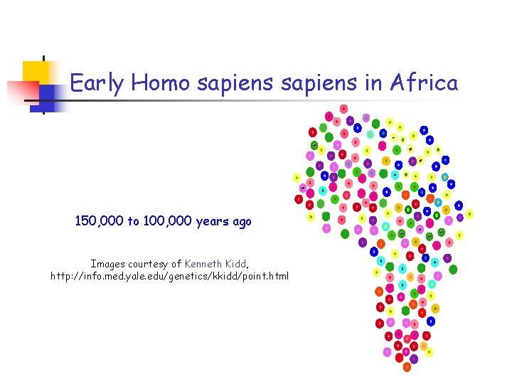 Early Homo sapiens in Africa 150, 000 to 100, 000 years ago Images courtesy